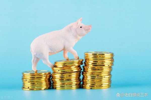 2023年 七星关区搞养猪有无息贷款吗？2023怎么搞钱