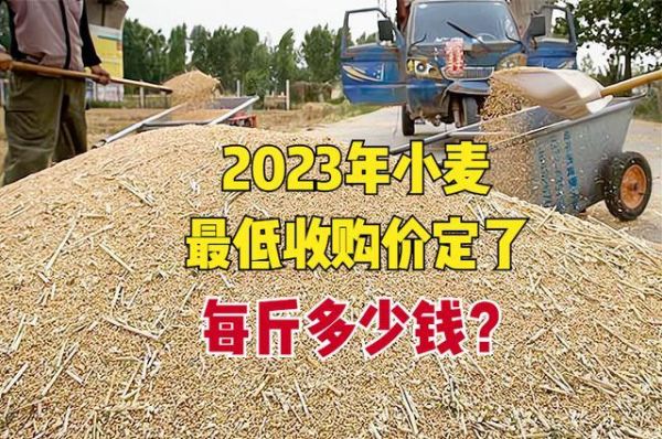 2023年小麦补贴多少钱？2023小麦怎么补贴