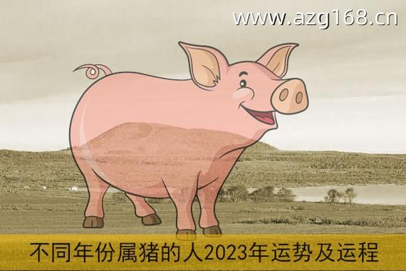 2023年8月21号属什么？2023猪怎么开运