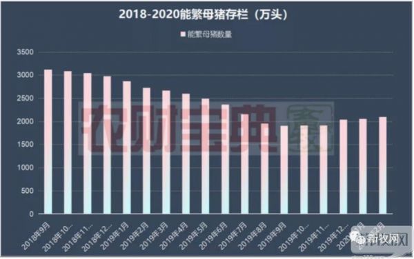 冯永辉2023下半年养猪前景分析？2023年养猪怎么赚钱